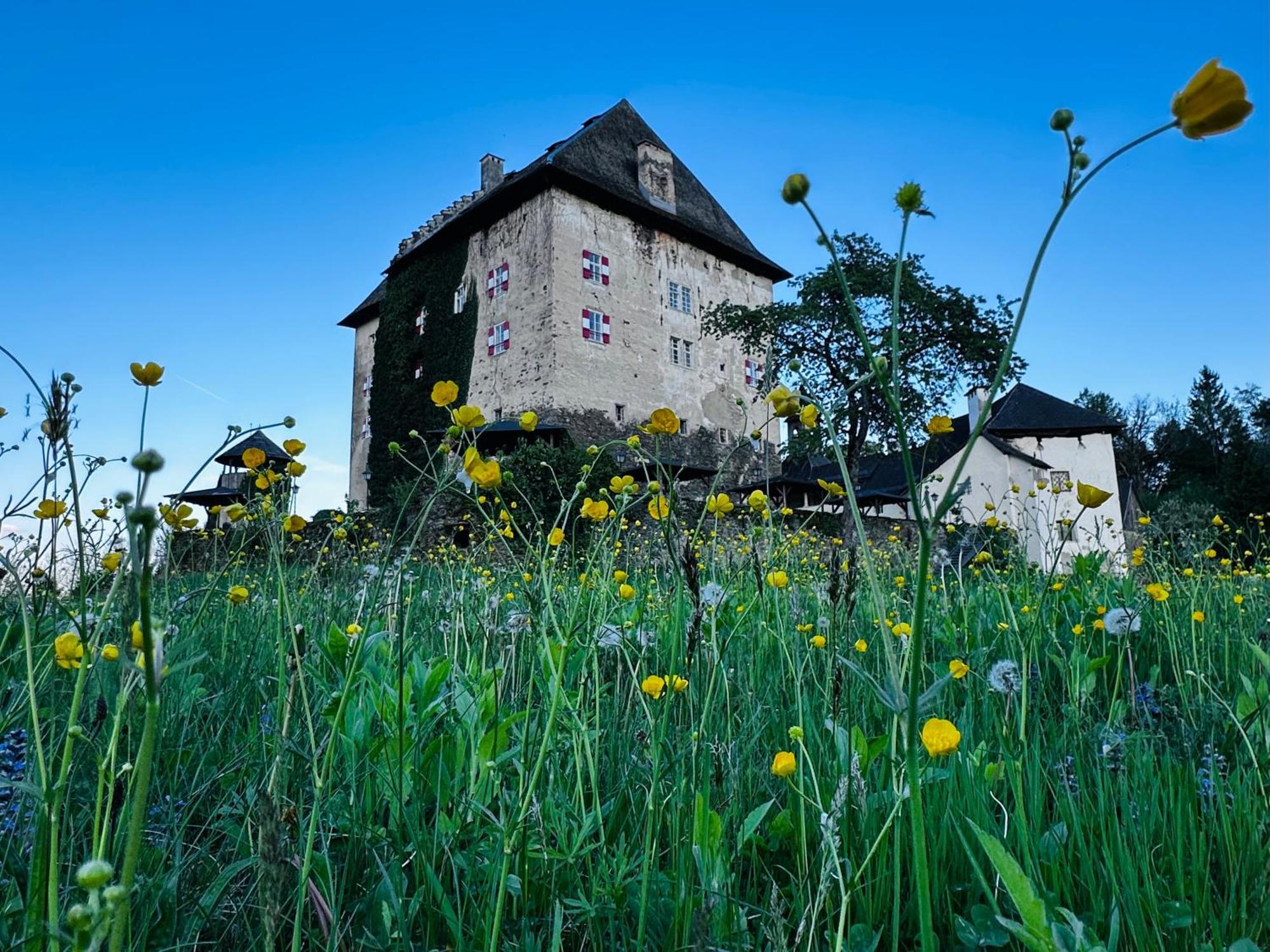 Schloss Moosburg Gaestehaus 외부 사진